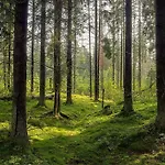 B&B Gdynia Otel Gdynia